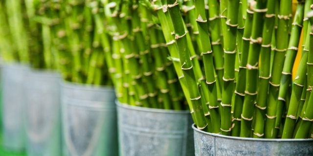 Does Bamboo Yarn Stretch? – www.