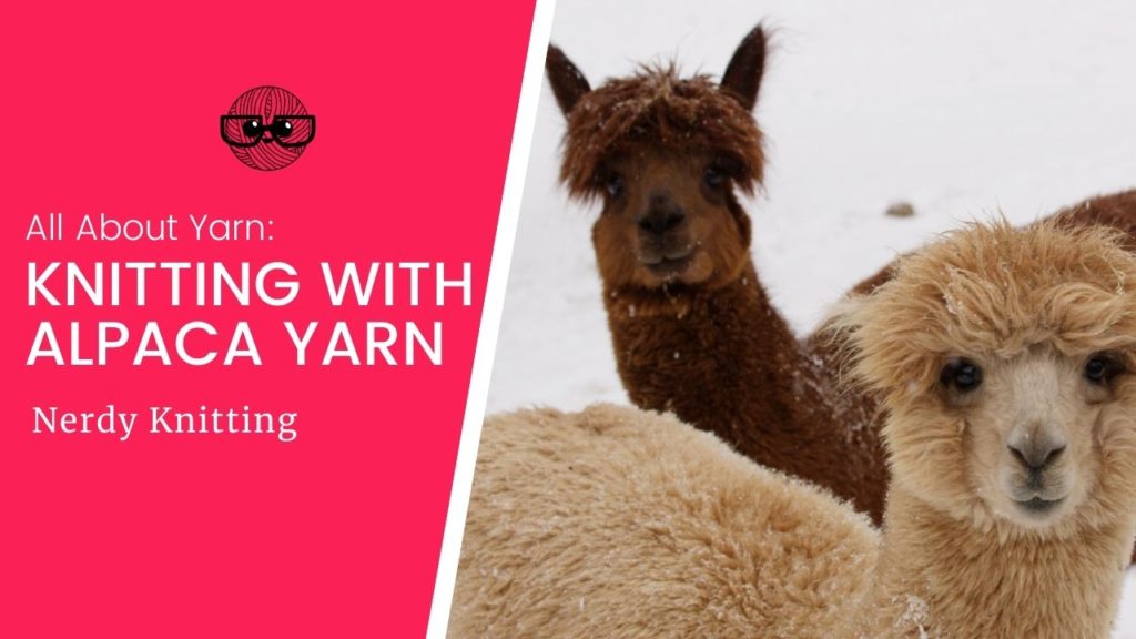 All About Knitting Alpaca Yarn (and other Camelid fibers) – TONIA