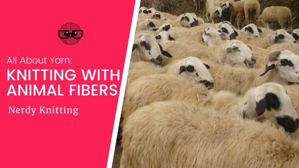 Yarn 101: Knitting with Animal Fiber Yarns – TONIA KNITS